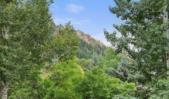 738 S Galena St 1-C, Aspen, CO 81611