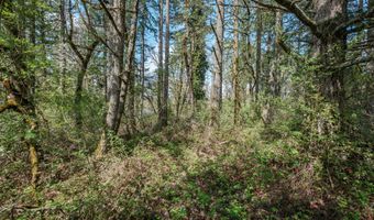 Valley View Dr NW, Albany, OR 97321