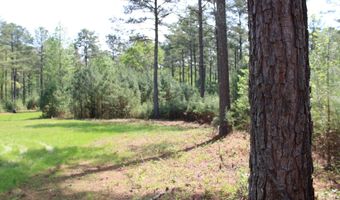 Ruffner Road 00, Barnesville, GA 30204