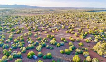 N SIX SHOOTER TRL 20 ACRES, Ash Fork, AZ 86320