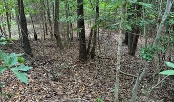 0 Hughes Farm Rd, Archdale, NC 27263