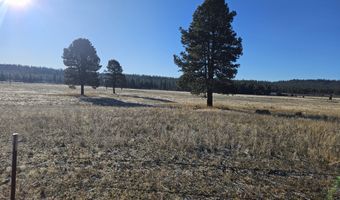 31747 Godowa Springs Rd, Beatty, OR 97621
