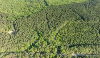 Ethridge Drive, Andrews, SC 29510