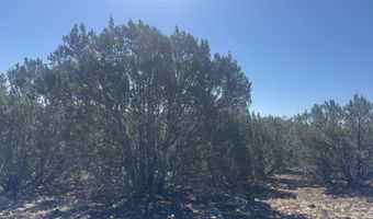 50 County Road 3190, Vernon, AZ 85940