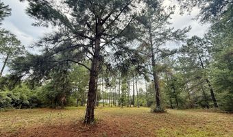 McPherson Drive, Alford, FL 32420