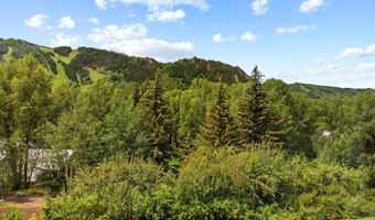 155 Lone Pine Rd 8, Aspen, CO 81611