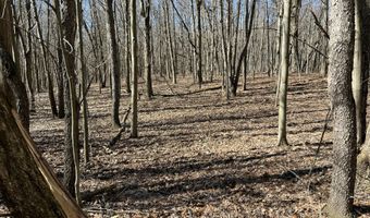 5725 Whitneyville Ave SE, Alto, MI 49302