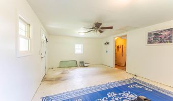 1250 County Road 405, Alton, MO 65606