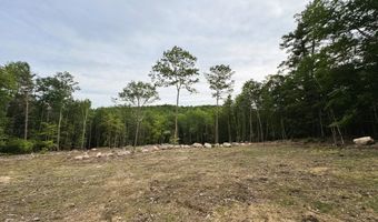 Rines Road 49, Alton, NH 03809