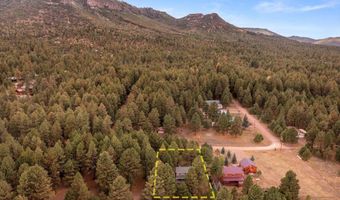 24 Co Rd 2065, Alpine, AZ 85920