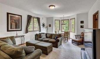 322 Davis Ct, Breckenridge, CO 80424