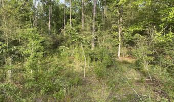 Putnam Avenue lot 30, Alford, FL 32420