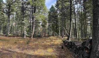 Vermejo Cir lot 15, Angel Fire, NM 87710