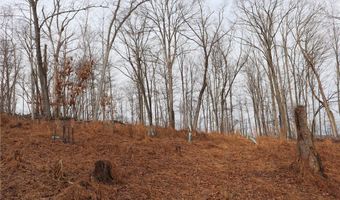 Route 12 Road, Alum Creek, WV 25003