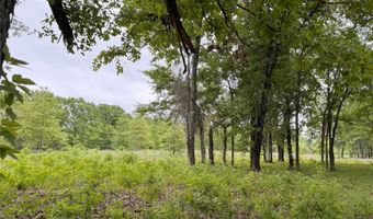 Rains County Road 2610 lot 25, Alba, TX 75410