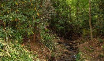1395 Panther Crk, Almond, NC 28702