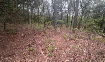 UNIT # 263B KIAMICHI WILDERNESS RD Unit # 63 63, Antlers, OK 74523
