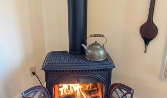 6955 Cedar, Alanson, MI 49706