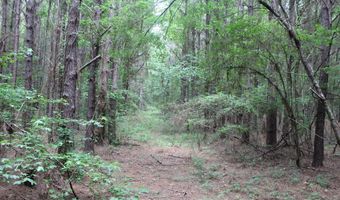 0000 Highway 550 NW, Brookhaven, MS 39601