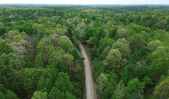 694 A Tunnel Ridge Rd, Argillite, KY 41121