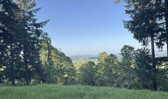SE Rice Ln, Amity, OR 97101