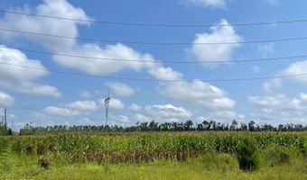 N Sr 71, Altha, FL 32421