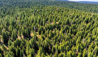 8735 Bering Rd, Alturas, CA 96101