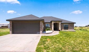 4865 SE 2700, Andrews, TX 79714