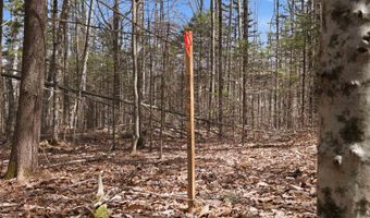 Puckerbrush Road, Campton, NH 03223