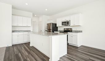 10644 Harlequinn Plan: Discovery, Adkins, TX 78101