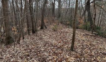 Hwy 105, Baldwin, GA 30511