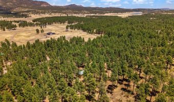 70 County Road 2266, Alpine, AZ 85920