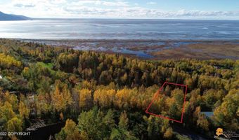 L10 Feodosia Drive, Anchorage, AK 99516