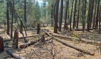 40 Acres Off 36N06, Adin, CA 96006