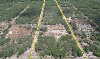 179 County Road 1461 Lot 9, Alice, TX 78332