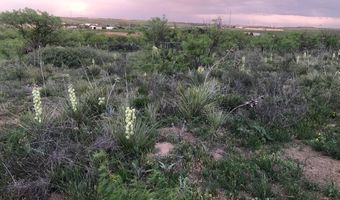 9515 RM 1061 Tascosa Rd, Amarillo, TX 79124