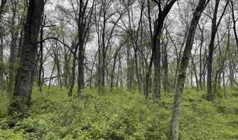 168 Th St, Albia, IA 52531