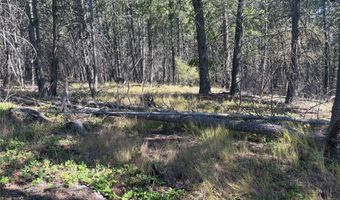 554 Swan Hill Dr, Bigfork, MT 59911