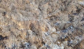 Sandy Branch Road, Bardwell, KY 42023