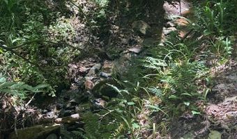 Piney Mountain Rd, Appomattox, VA 24522
