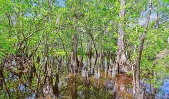 7095 Parkers Ferry Rd, Adams Run, SC 29426