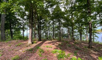 1147 Lakefront Pl, Baneberry, TN 37890