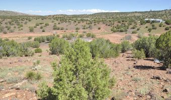 19 N8483, Concho, AZ 85924