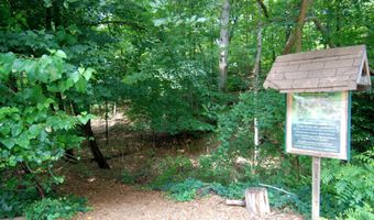 4023 18TH Rd N 2, Arlington, VA 22207