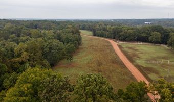 2421 Morrison Loop, Anderson, MO 64831