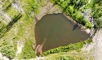 2493 Greer Rd, Bellvue, CO 80512
