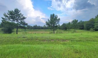 Lovedale Road, Bascom, FL 32423