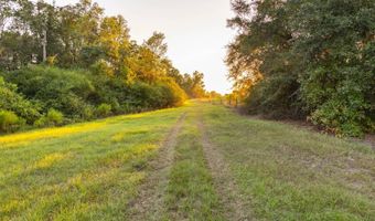 100 Acres Harmony Church Rd, Andalusia, AL 36421