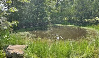 11138 State Highway O, Ava, MO 65608