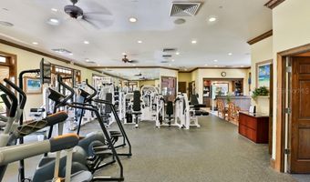 209 SELA COVE Cir, Apollo Beach, FL 33572